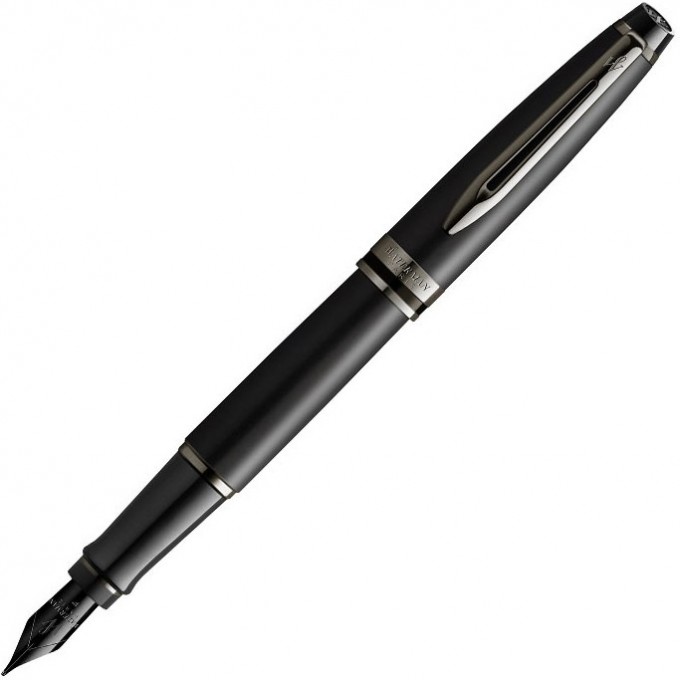 Перьевая ручка WATERMAN EXPERT DELUXE METALLIC BLACK RT F, сталь 2119188 Перьевая ручка WATERMAN EXPERT DELUXE METALLIC BLACK RT F, сталь 2119188