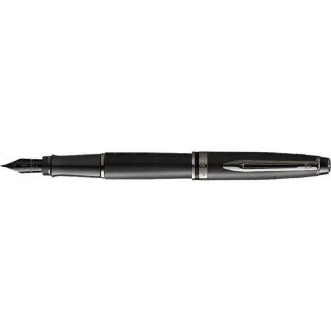 Перьевая ручка WATERMAN EXPERT DELUXE METALLIC BLACK RT F, сталь CW2119188 Перьевая ручка WATERMAN EXPERT DELUXE METALLIC BLACK RT F, сталь CW2119188