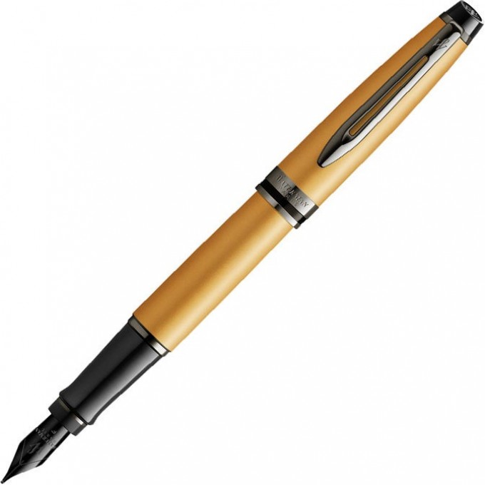 Перьевая ручка WATERMAN EXPERT DELUXE METALLIC GOLD RT с пером F, сталь 2119257 Перьевая ручка WATERMAN EXPERT DELUXE METALLIC GOLD RT с пером F, сталь 2119257