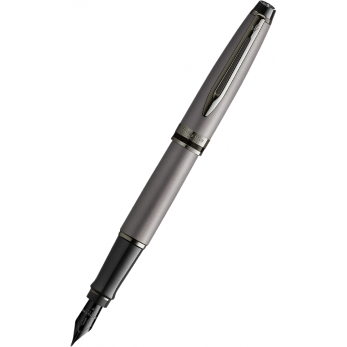Ручка перьевая WATERMAN EXPERT DELUXE () Metallic Silver RT M сталь нержавеющая 2119254 Ручка перьевая WATERMAN EXPERT DELUXE () Metallic Silver RT M сталь нержавеющая 2119254